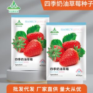 img 20250715 223259