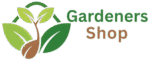 cropped add a heading removebg preview 1 e1754020153447.png