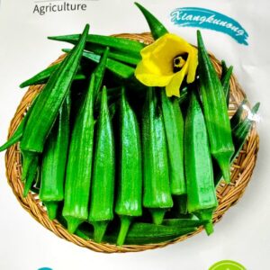 সবুজ ঢেঁড়স 