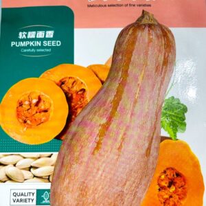 মিষ্টি কুমড়া