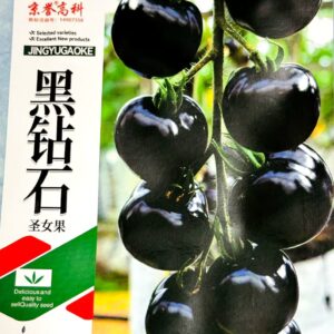 ব্ল্যাক চেরি টমেটো 