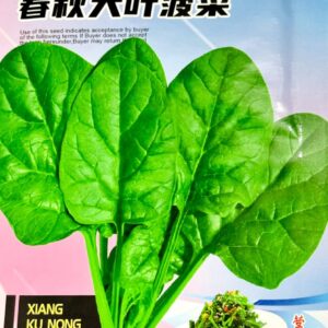 পালং শাক 