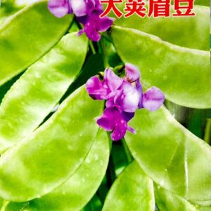 সবুজ শিম