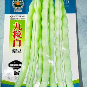 সাদা বরবটি