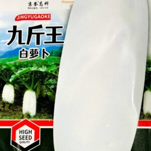 সাদা মুলা