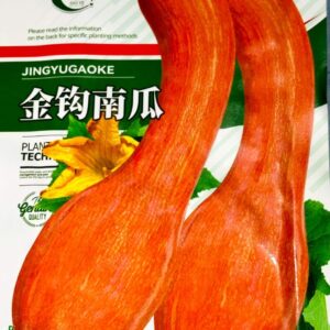 বাকাঁ মিষ্টি কুমড়া