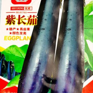 বেগুনী লম্বা বেগুন