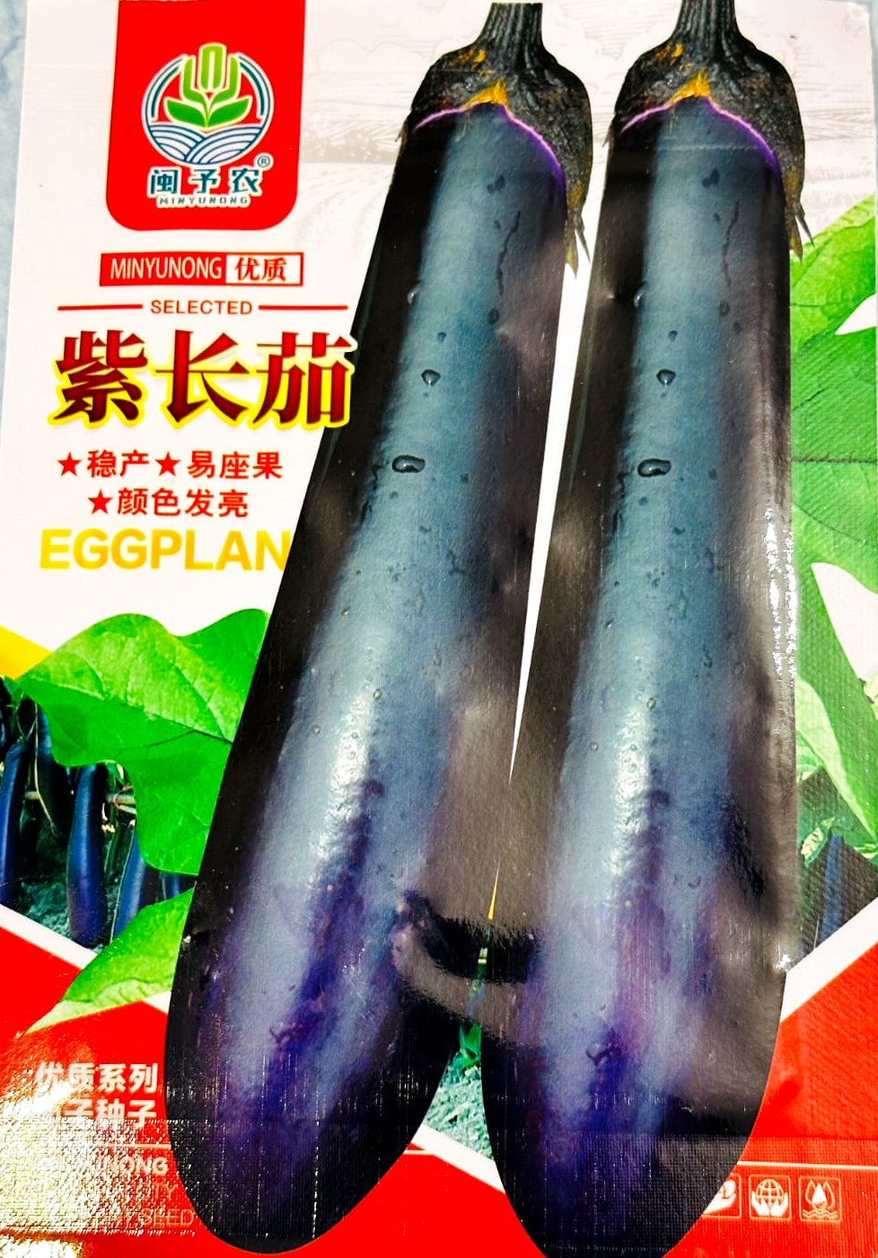 বেগুনী লম্বা বেগুন বেগুনী লম্বা বেগুন