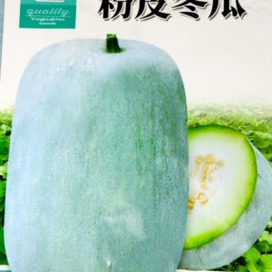 চালকুমড়া