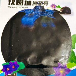 কালো তাল বেগুন