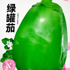 সবুজ বড় বেগুন 