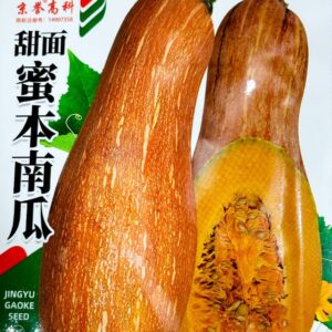 হলুদ মিষ্টি কুমড়া