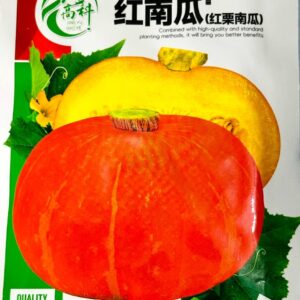 লাল মিষ্টি কুমড়া