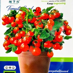 রেড পার্ল টমেটো