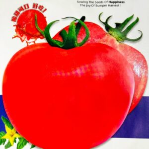 বড় লাল টমেটো