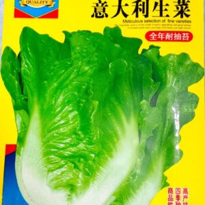 ইতালিয়ান লেটুস 