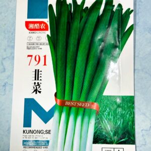 পেঁয়াজপাতা