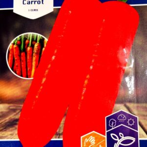 লাল গাজর