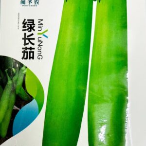 সবুজ লম্বা বেগুন 