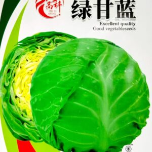 বাঁধাকপি