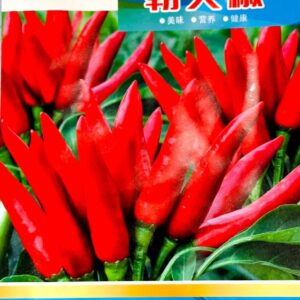 লাল মরিচ