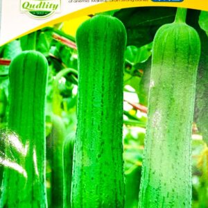 ধুন্দুল