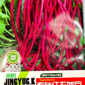 লাল বরবটি