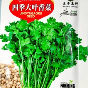 ধনেপাতা