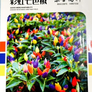 রঙিন মরিচ (৫কালার)