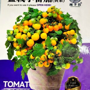 হলুদ চেরি টমেটো