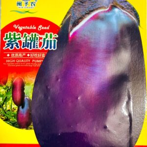 বেগুনী বড় বেগুন